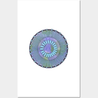 Diatom - Discostella asterocostata (artwork) Posters and Art